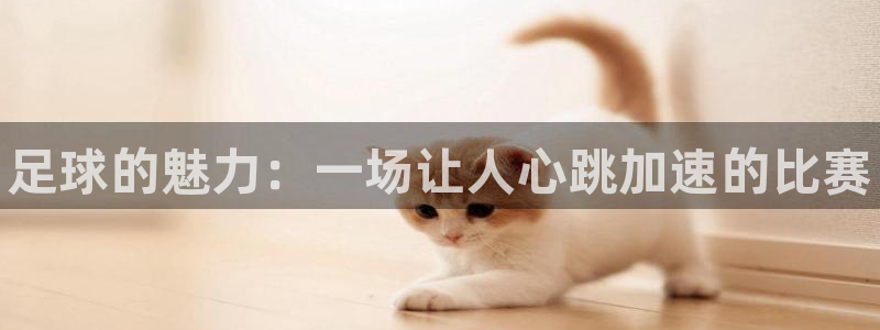 J9官网下载招商电话是多少：足球的魅力：一场让人心跳加速的比