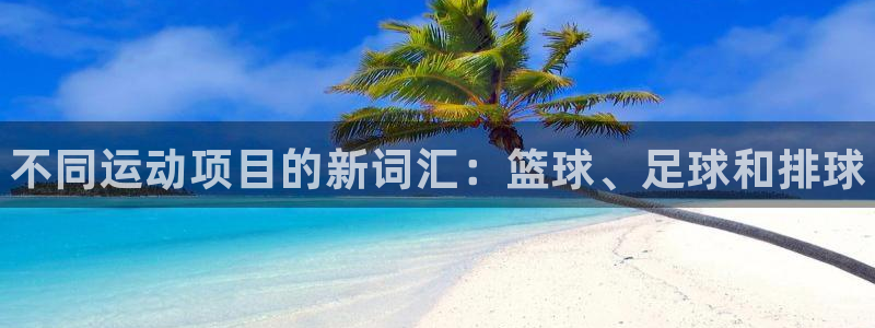 J9官方正版app科技：不同运动项目的新词汇：篮球、