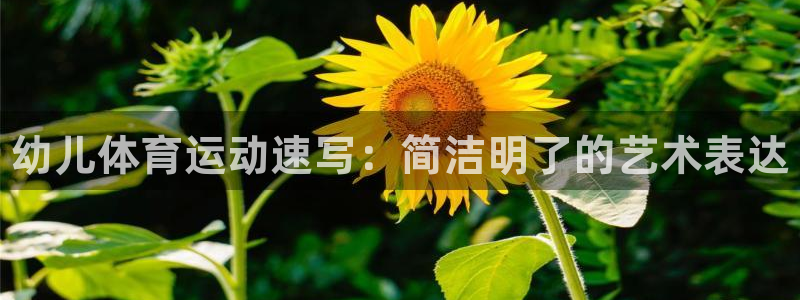海南J9官网下载：幼儿体育运动速写：简洁明了的艺术表