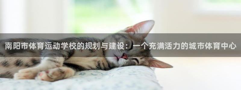J9官网下载招商电话是多少号码：南阳市体育运动学校的规划与建