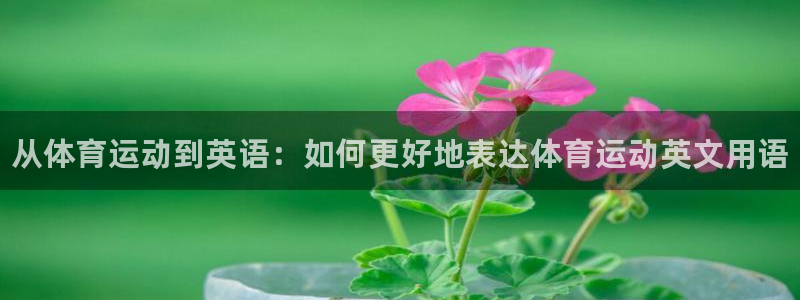 J9官方正版app娱乐下载：从体育运动到英语：如何更好地表达