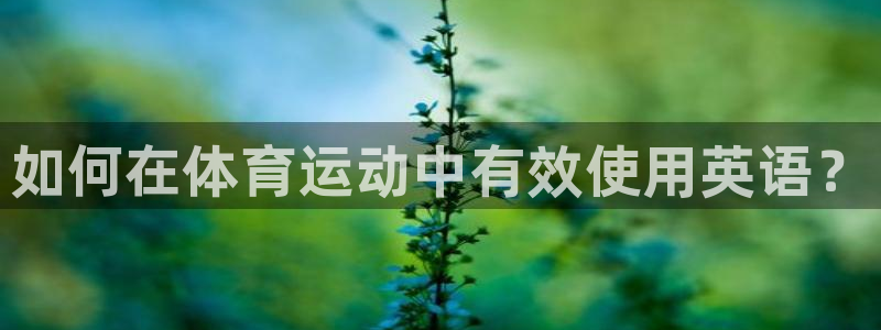 J9官网下载联系电话：如何在体育运动中有效使用英语？