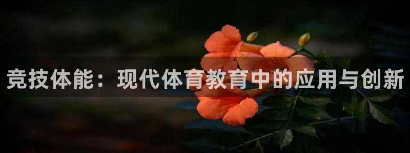 海南J9官网下载：竞技体能：现代体育教育中的应用与创新