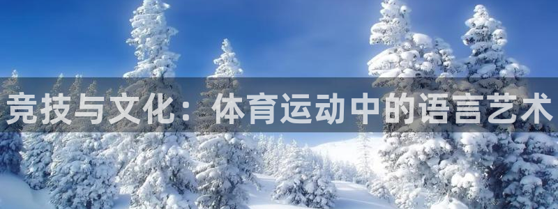 J9官方正版app新能源：竞技与文化：体育运动中的语言艺术