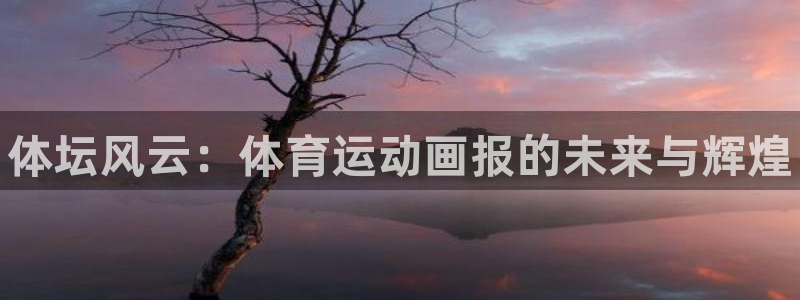 J9官网下载平台注册要钱吗：体坛风云：体育运动画报的未来与辉