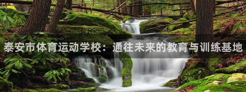 J9官网下载平台注册要钱吗安全吗：泰安市体育运动学校：通往未