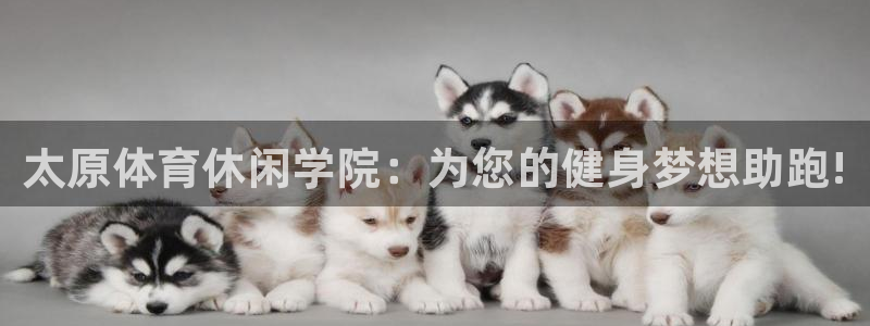 J9官网下载平台：太原体育休闲学院：为您的健身梦想助跑!