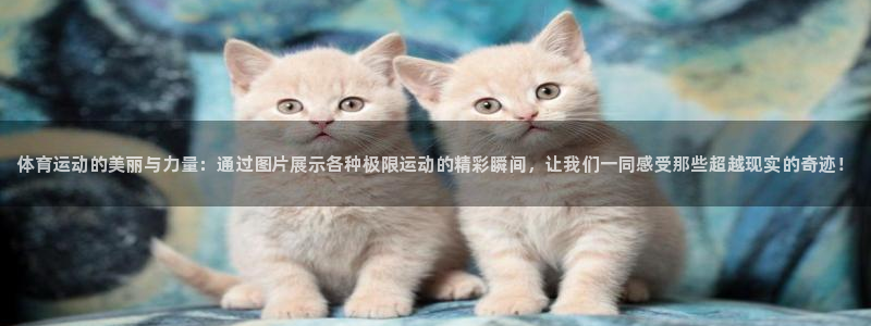 J9官网下载平台：体育运动的美丽与力量：通过图片展示各种极限