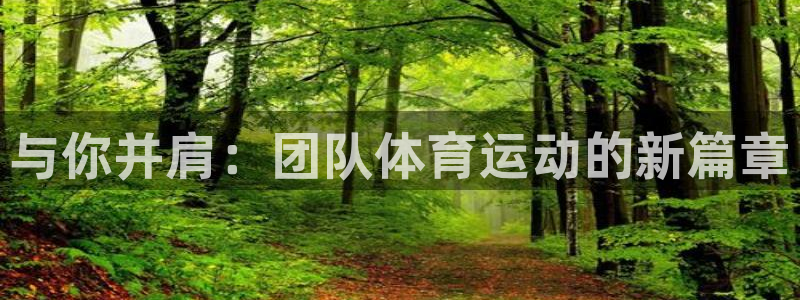 J9官方正版app娱乐平台：与你并肩：团队体育运动的新篇章