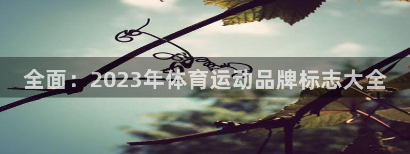 注册J9官方正版app：全面：2023年体育运动品牌标志大全