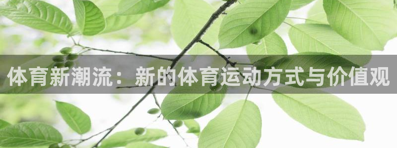 J9官网下载招商：体育新潮流：新的体育运动方式与价值