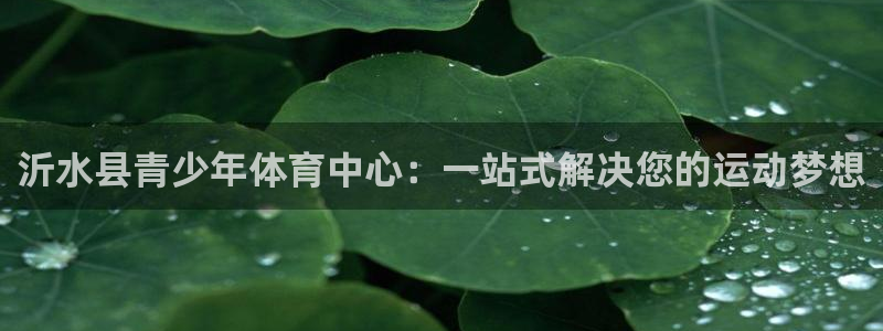 J9官方正版app五金厂：沂水县青少年体育中心：一站