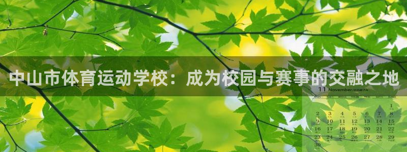 J9官方正版app集团logo:中山市体育运动学校:成为校园