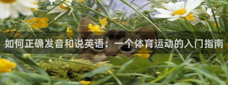 J9官方平台体育：如何正确发音和说英语：一个体育运动