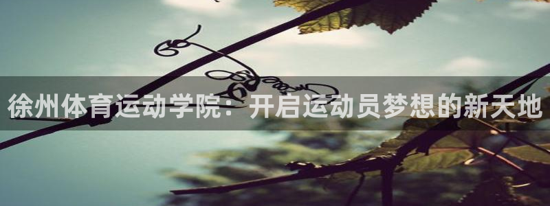 J9官网下载平台APP：徐州体育运动学院：开启运动员