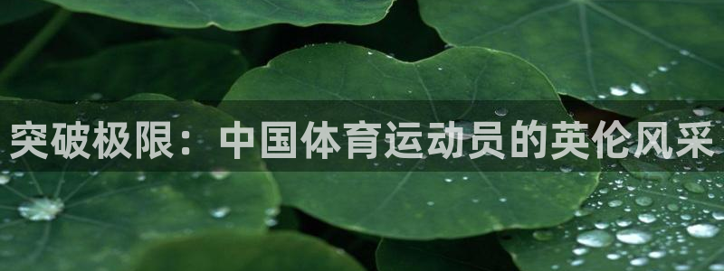J9官网下载是干嘛的公司：突破极限：中国体育运动员的