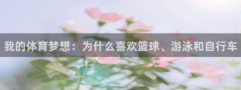 J9官方正版app娱乐首页官网下载:我的体育梦想:为什么喜欢