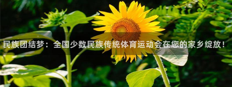 J9官网下载平台假的吗是真的吗吗：民族团结梦：全国少