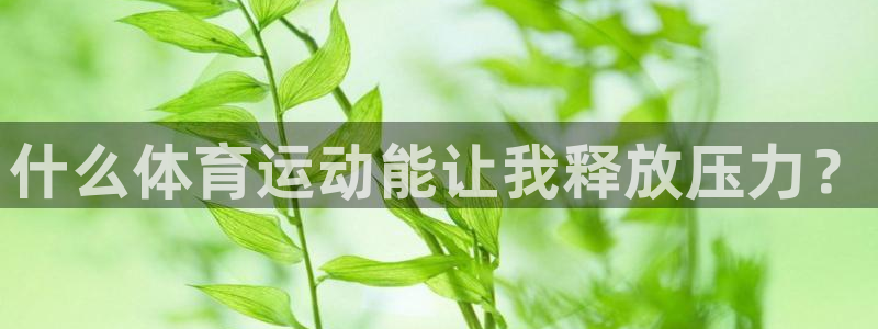 J9官方正版app娱乐首页网站大全:什么体育运动能让我释放压