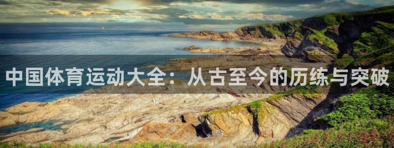 J9官网下载平台注册流程视频：中国体育运动大全：从古