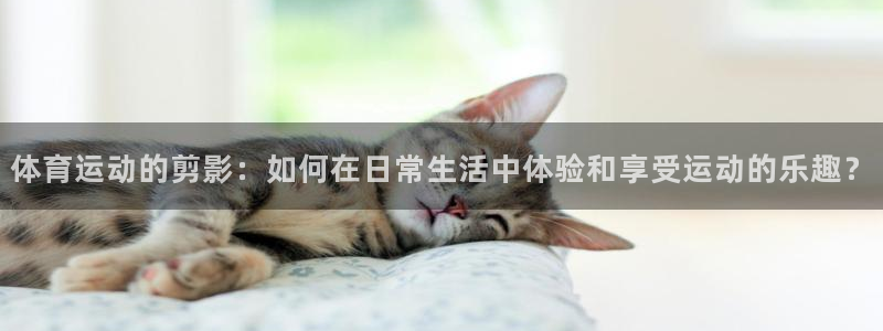 J9官方正版app集团官网首页网址