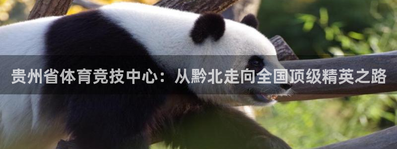 J9官方平台体育:贵州省体育竞技中心:从黔北走向全国顶级精英