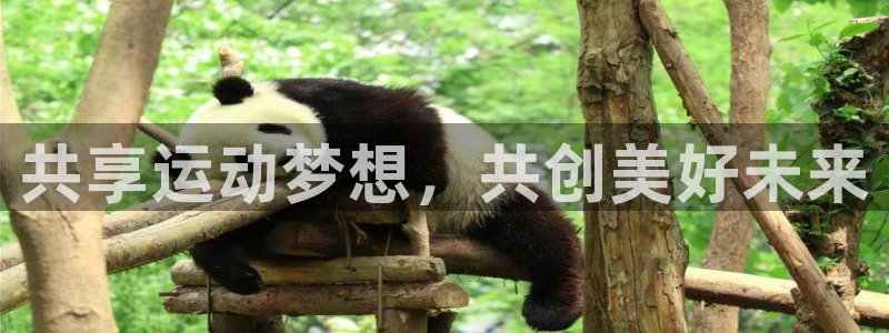 J9官网下载平台注册流程图：共享运动梦想，共创美好未来