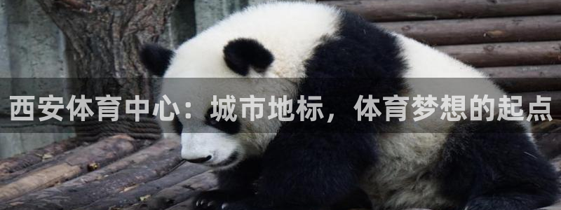 J9官方正版app官方：西安体育中心：城市地标，体育