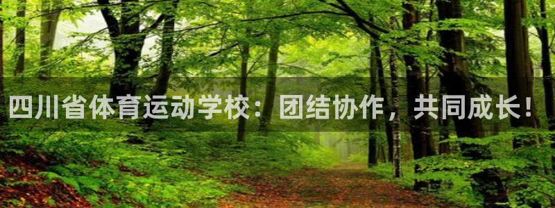 J9官方正版app娱乐：四川省体育运动学校：团结协作