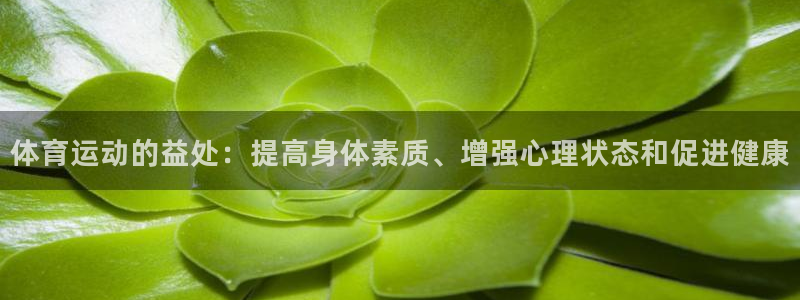 九游app下载版2020