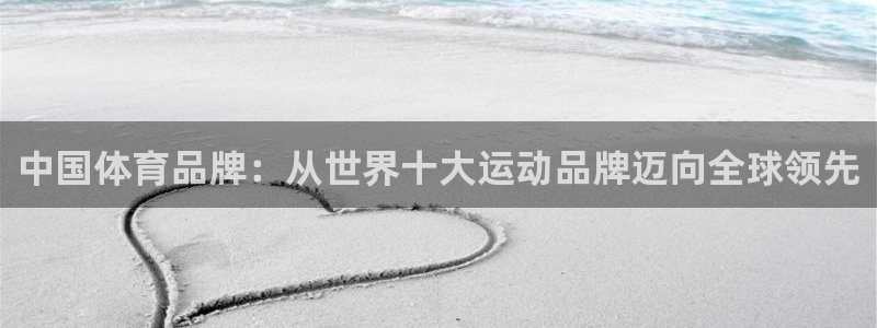 理想j9