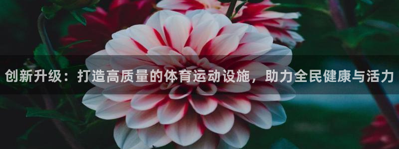 九游劲舞团商城登录：创新升级：打造高