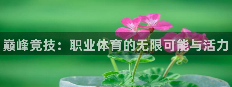 九游快报官方正版下载：巅峰竞技：职业体育的无限可能与活力