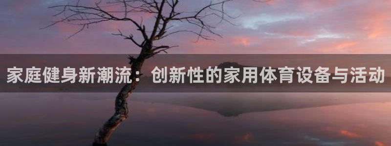 九游版官网：家庭健身新潮流：创新性的