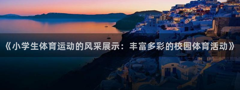 九游游戏中心网址：《小学生体育运动的