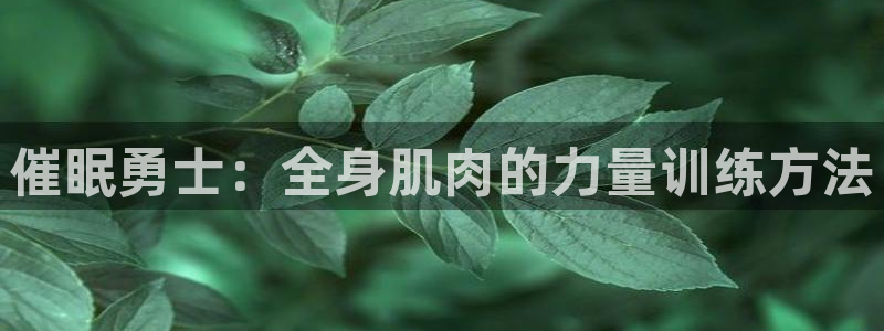 九游下载安装软件：催眠勇士：全身肌肉的力量训练方法