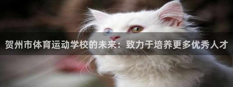 九游app出现屡次退出怎么办：贺州市体育运动学校的未来：致力