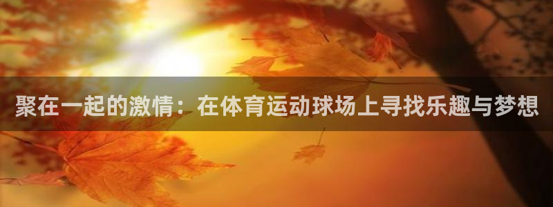 九游app秒退：聚在一起的激情：在体