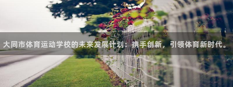 九游app苹果版在哪下载：大同市体育