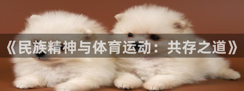  九游APPQQ登录：《民族精神与体育运动：共存之道》