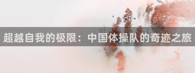  九游官网top：超越自我的极限：中国体操队的奇迹之旅