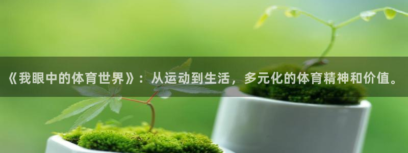  九游服第五人格：《我眼中的体育世界》：从运动到生活，多元化的