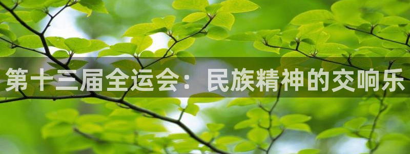 九游app不能充值u点了：第十三届全运会：民族精神的交响乐