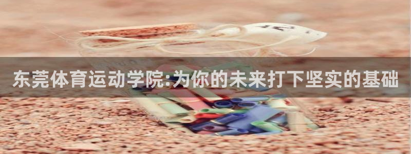  九游神途：东莞体育运动学院:为你的未来打下坚实的基础