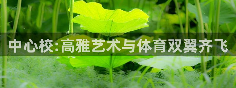 九游官网QQ登录：中心校:高雅艺术与体育双翼齐飞