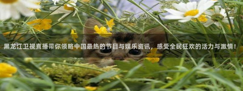 绿茵体育app下载