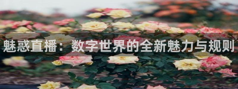 绿茵直播体育免费观看lyzb：魅惑直播：数字世界的全新魅力与规则