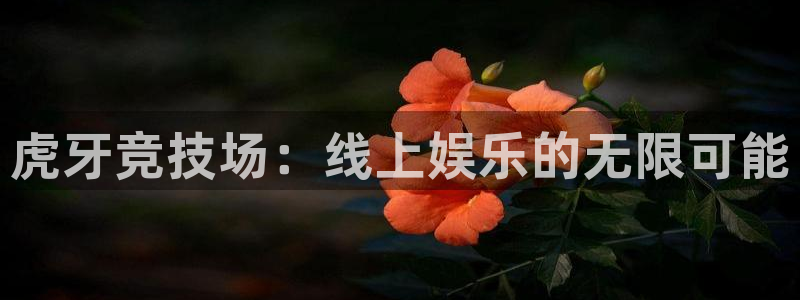 绿茵体育直播lyzb：虎牙竞技场：线上娱乐的无限可能