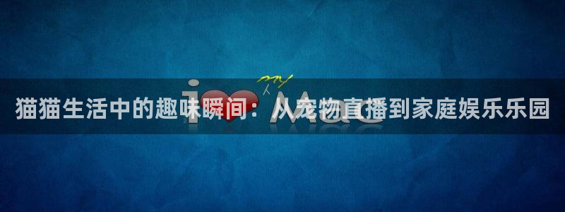 绿茵体育比赛直播：猫猫生活中的趣味瞬间：从宠物直播到家庭娱乐乐园