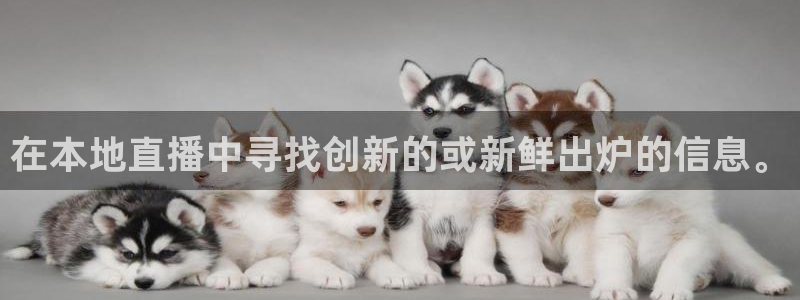 绿茵足球直播晚晚：在本地直播中寻找创新的或新鲜出炉的信息。